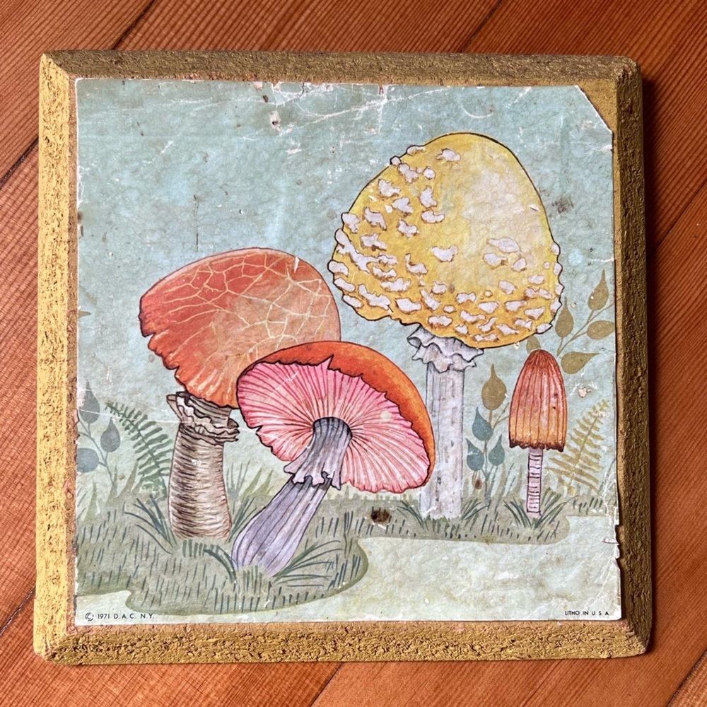 Vintage Cottagecore Mushroom Botany Litho Art Print 1971 USA made